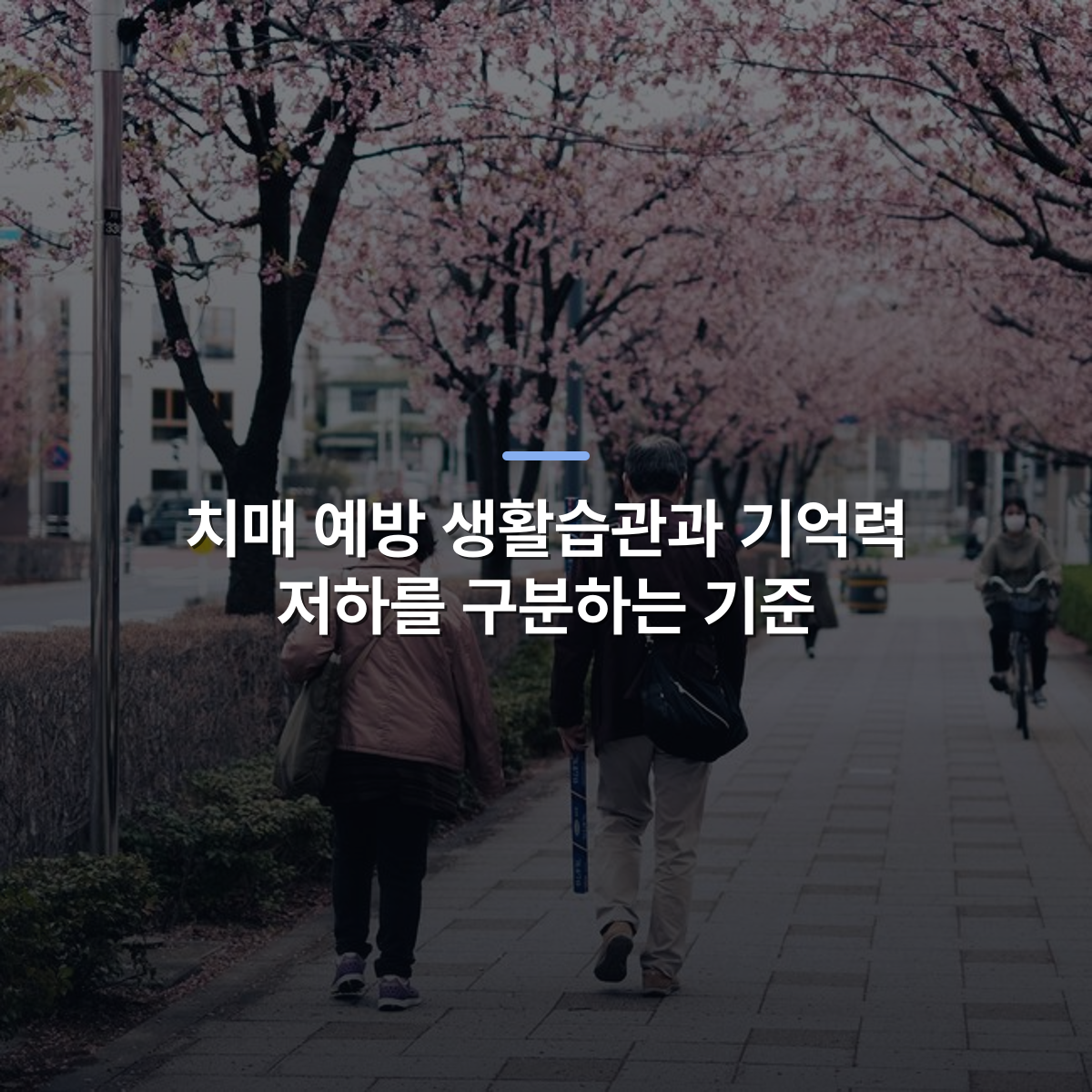 치매 예방 생활습관과 기억력 저하를 구분하는 기준 · 사진: A serene urban scene with people walking under cherry blossoms on a city sidewalk.