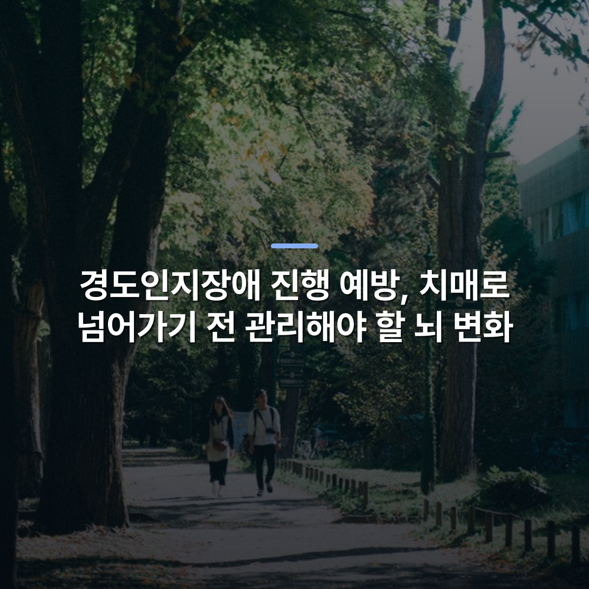 경도인지장애 진행 예방, 치매로 넘어가기 전 관리해야 할 뇌 변화 · 사진: A couple enjoying a sunny walk along a tree-lined park path in the city, embracing nature.